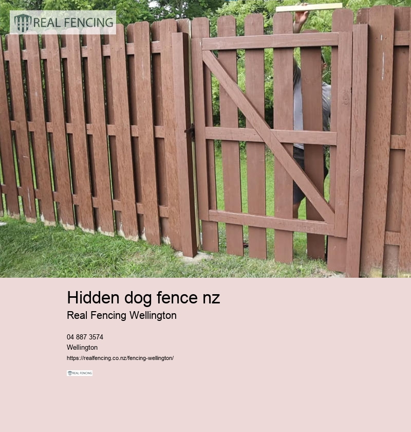 hidden dog fence nz